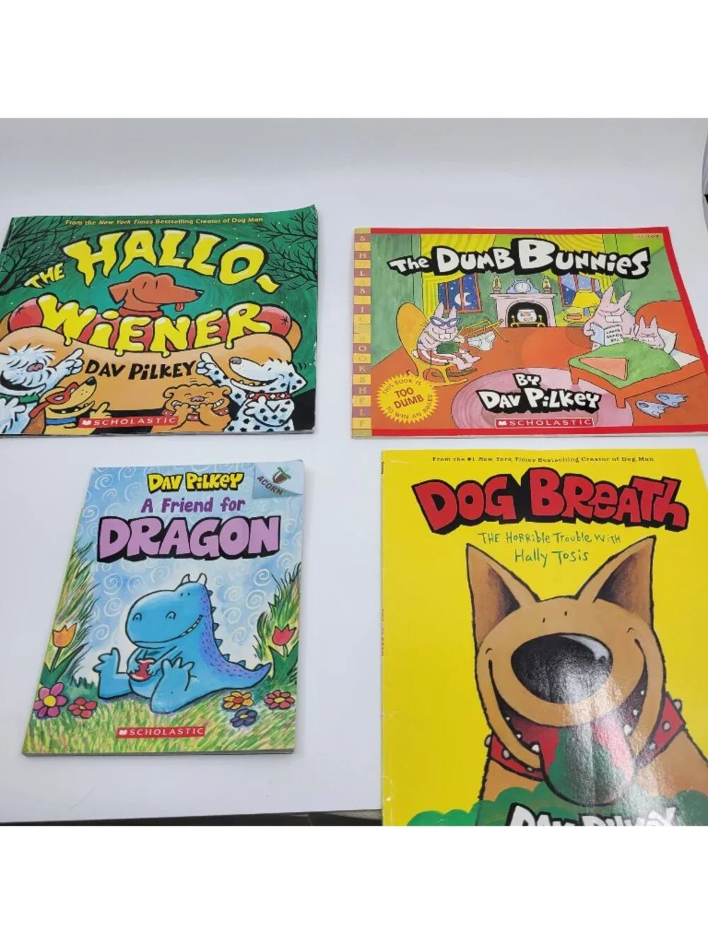 DAV PILKEY Lot of Children's Story Books - BK200